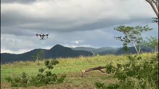 Two Drones Spraying one Farm in Jamaica [upl. by Ahsekar]