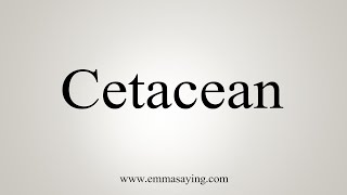 How To Say Cetacean [upl. by Natsirc]