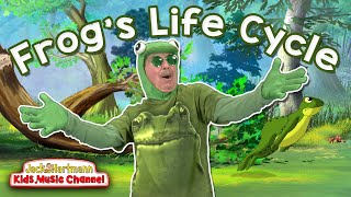 A Frogs Life Cycle  Metamorphosis Song for Kids  Jack Hartmann [upl. by Ayama550]