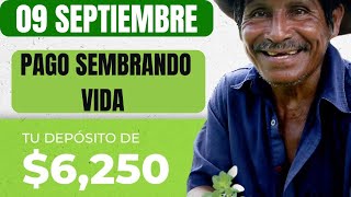 quot¡Atención Sembradores Pago Sembrando Vida 9 de Septiembre 2024 Todo lo que Necesitas Saber 🌱💸quot [upl. by Templas]