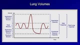 Pulmonary Function Tests PFT Lesson 1  An Introduction [upl. by Brownley]