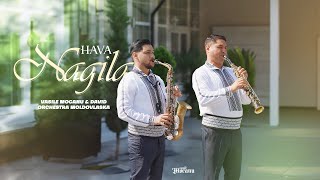 Vasile Mocanu amp David  HAVA NAGILA  Official 4K video 2023 [upl. by Luciana574]