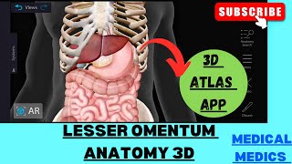 Lesser Omentum  Anatomy of Lesser Omentum 3d  Abdomen Anatomy [upl. by Aubrey]