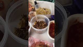 What I eat in a day at Yonsei University yonseiuniversity vlog 연세 [upl. by Fiertz]