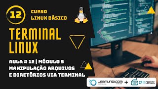 Manipulação Arquivos e Diretórios via Terminal Linux  Aula 12  Módulo 5  ✅💻 [upl. by Slen]