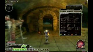 Dungeons and Dragons Online Gameplay  First Look HD [upl. by Marni]