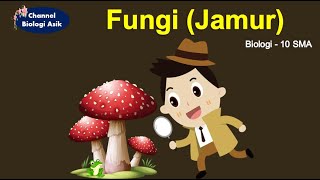 Kingdom Fungi  Biologi kelas 10 SMA [upl. by Lime]