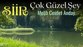 Şiir  Çok Güzel Şey  Melih Cevdet Anday [upl. by Neural978]