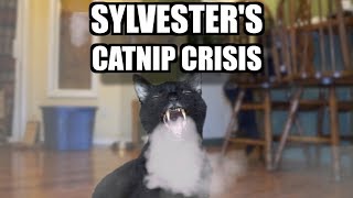 Talking Kitty Cat 61 Sylvesters Catnip Crisis [upl. by Adnih325]