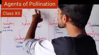 Agents of Pollination  Shivam Oswal [upl. by Whalen]