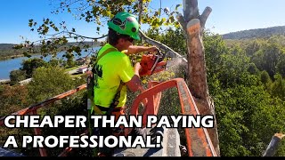 DIY Tree Removal  Is The Risk Worth the Reward [upl. by Zoie]