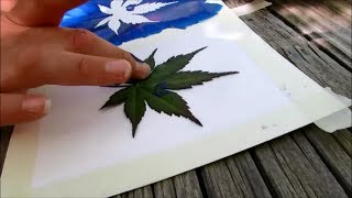 How to make leaf stamp art  SUMMER FUN SERIES [upl. by Odracer]