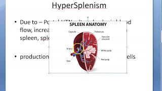 Medicine HyperSplenism Overactive spleen [upl. by Adne]