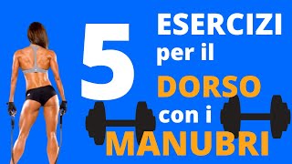 5 Esercizi SPACCADORSALI con i MANUBRI in 2 minuti [upl. by Nennek731]