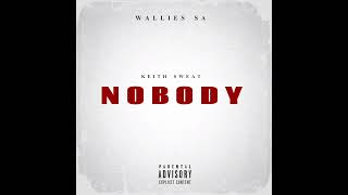 Wallies SA  Nobody Remix [upl. by Ateval]