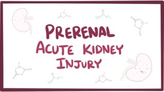 Prerenal acute kidney injury acute renal failure  causes symptoms amp pathology [upl. by Aldarcie]