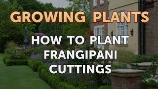 How to Plant Frangipani Cuttings [upl. by Oirasan181]