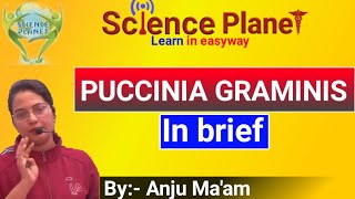 Puccinia graminis tritici Wheat Rust in brief By Anju Maam SCIENCE PLANET BIOLOGY [upl. by Attiuqaj]