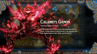 How to Unlock Calamity Ganon as a Playable Character in Hyrule Warriors Age of Calamity  Secret [upl. by Pasco]