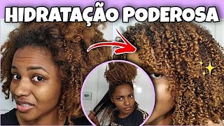 RECUPERE SEU CABELO CRESPO RESSECADO HIDRATAÇÃO PODEROSA [upl. by Georgianna85]