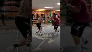 TRY THIS 5PUNCH COMBO BY UFCS BRANDON MORENO 🥊 [upl. by Zia]