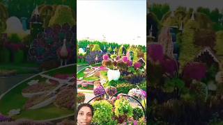 World natural beautiful flower garden 🌺🌹🪴🥀🪷🌷 💐lovely nature flowersgarden [upl. by Maribelle222]