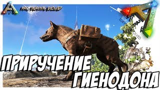 ARK Survival Evolved  ПРИРУЧЕНИЕ ГИЕНОДОНА TAMING HYAENODON [upl. by Gussie]