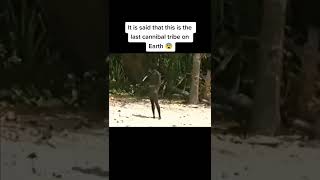 Rare Videotape of North Sentinel Island 🏝 shorts [upl. by Heywood]