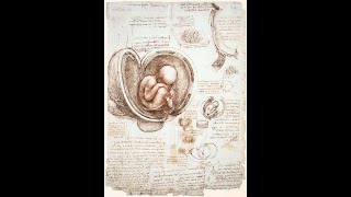 Overview of Paradigm Shifts in Embryology PSE  A Clinical and Embodied Embryology Course  Alaya [upl. by Fornof377]