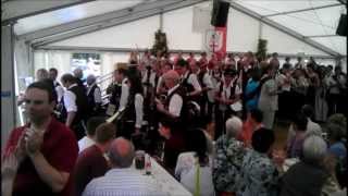 Weinfest Mosel Sankt Aldegund 2013 [upl. by Joacima121]