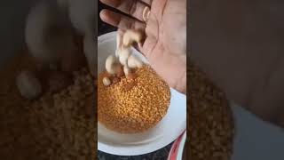 12 months old baby food ytshorts viral trending baby food ytshortsvideo [upl. by Burack]