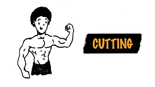 A Técnica Ideal Para Definir Sua Musculatura Cutting  Autoridade Fitness [upl. by Kcirdnekel470]