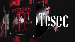 Los Primos del Este  Tesec Lyric Video [upl. by Otrebla]