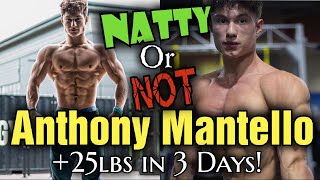 Is Gymshark Athlete Anthony Mantello Natty OR Not Gaining 25 lbs in 3 Days [upl. by Ynohtnakram]