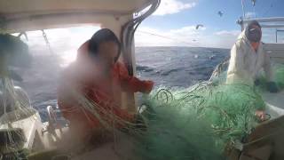 Gillnetting Offshore Jan 2017 [upl. by Rebbecca20]