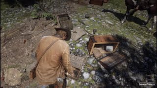 Red Dead Redemption 2 Herbalist 3 Early [upl. by Delia]