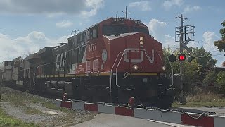 CN Q109 flying through downtown Beaverton with an amazing sounding K3L horn  9222024 [upl. by Lledualc64]