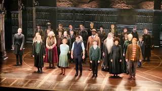 Harry Potter and the Cursed Child  London Curtain Call [upl. by Ela]