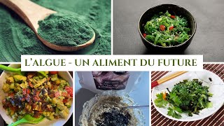 L’Algue  Un Légume À Découvrir [upl. by Garris89]