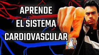 ¡Aprende sobre el Sistema Circulatorio FACIL Y BIEN EXPLICADO [upl. by Ransome]