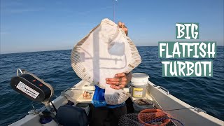 BIG TURBOT Drifting “Casquets Sandbanks” for Big Turbot and Brill  Amazing Day Flatfish Fishing [upl. by Domela740]