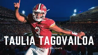 Taulia Tagovailoa  Big Ten Leading Passer  2023 Season Highlights [upl. by Althea326]