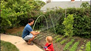 Easy and Simple Cucumber Trellis for Vertical Growing by the California Gardener [upl. by Aed]