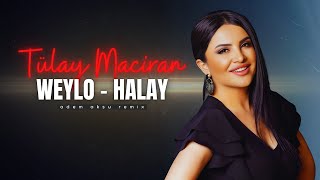 Tülay Maciran  Weylo Kürtçe Halay Remix  Türkü Trap Remix 2024 [upl. by Smalley82]