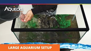 How to Set Up a Large Aquarium [upl. by Karylin]