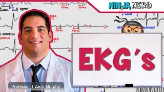 Cardiovascular  EKGs [upl. by Melamie]