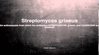 Medical vocabulary What does Streptomyces griseus mean [upl. by Aitrop967]