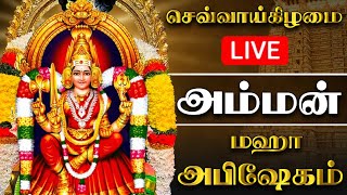 🔴LIVE செவ்வாய்க்கிழமை அம்மன் மஹா அபிஷேகம்  Tuesday Amman Abhishekam shorts amman abhishekam [upl. by Felix]