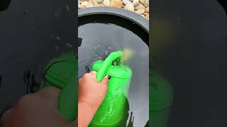 Explaining Rain Chains and Watering Ferns 🌧️ 🌻 [upl. by Brag]