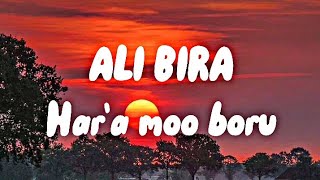 Ali Bira  Hara moo boruLyrics  Oromo Music [upl. by Negyam921]